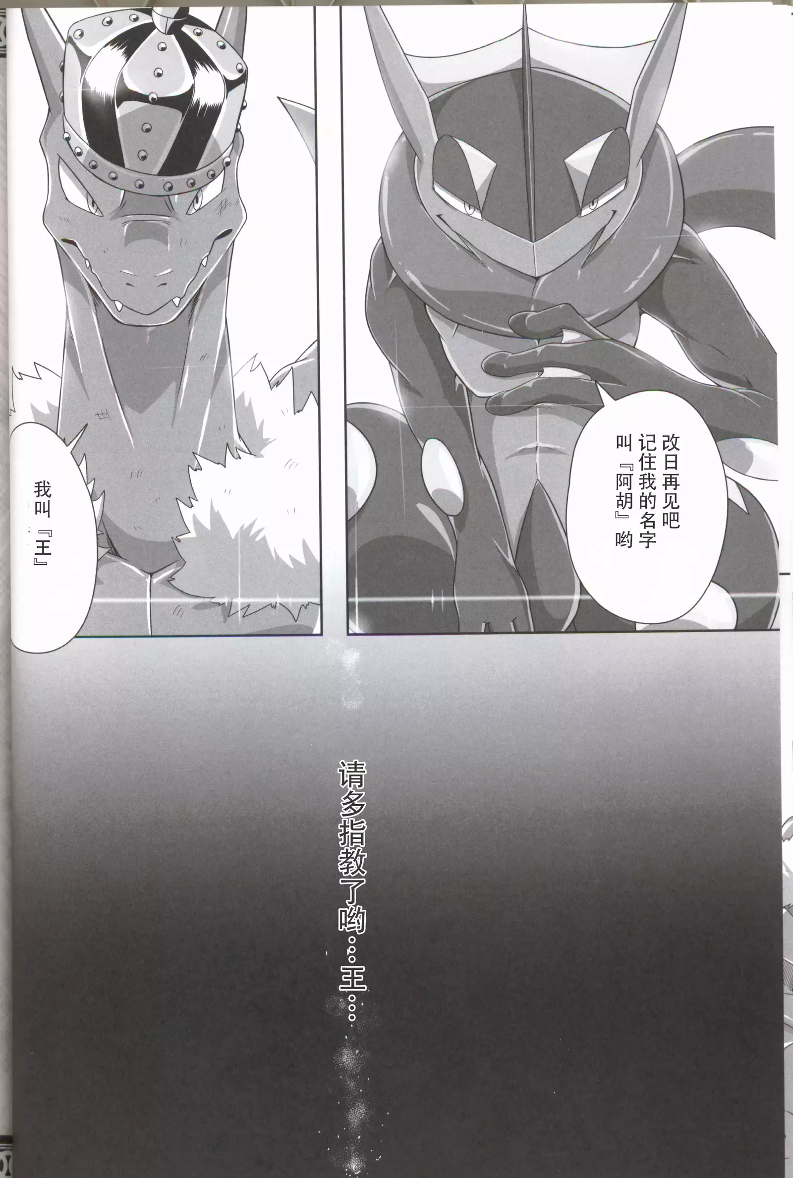 王子与小偷 黎明汉化组