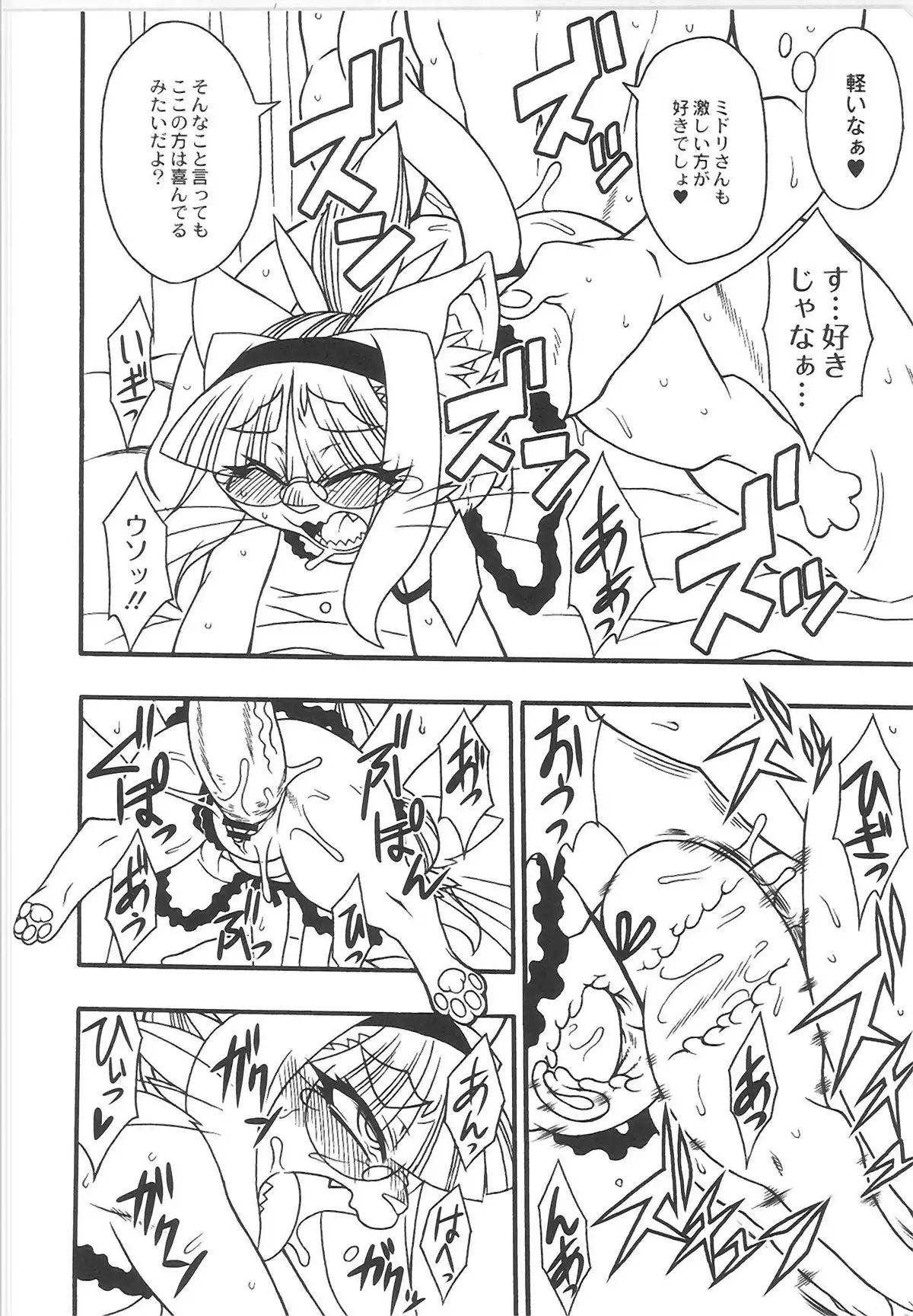 QooPA2015-06 No,11