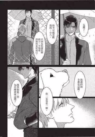 Chihireru Kubiwa | 碎裂的项圈