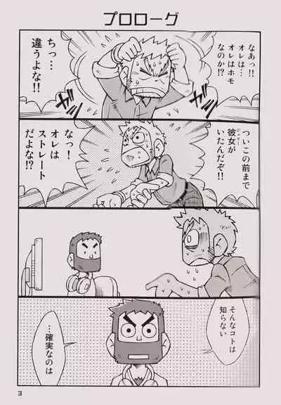 STEPHEN STILLS Joseph no Stephen Kaizou Keikaku Monogatari