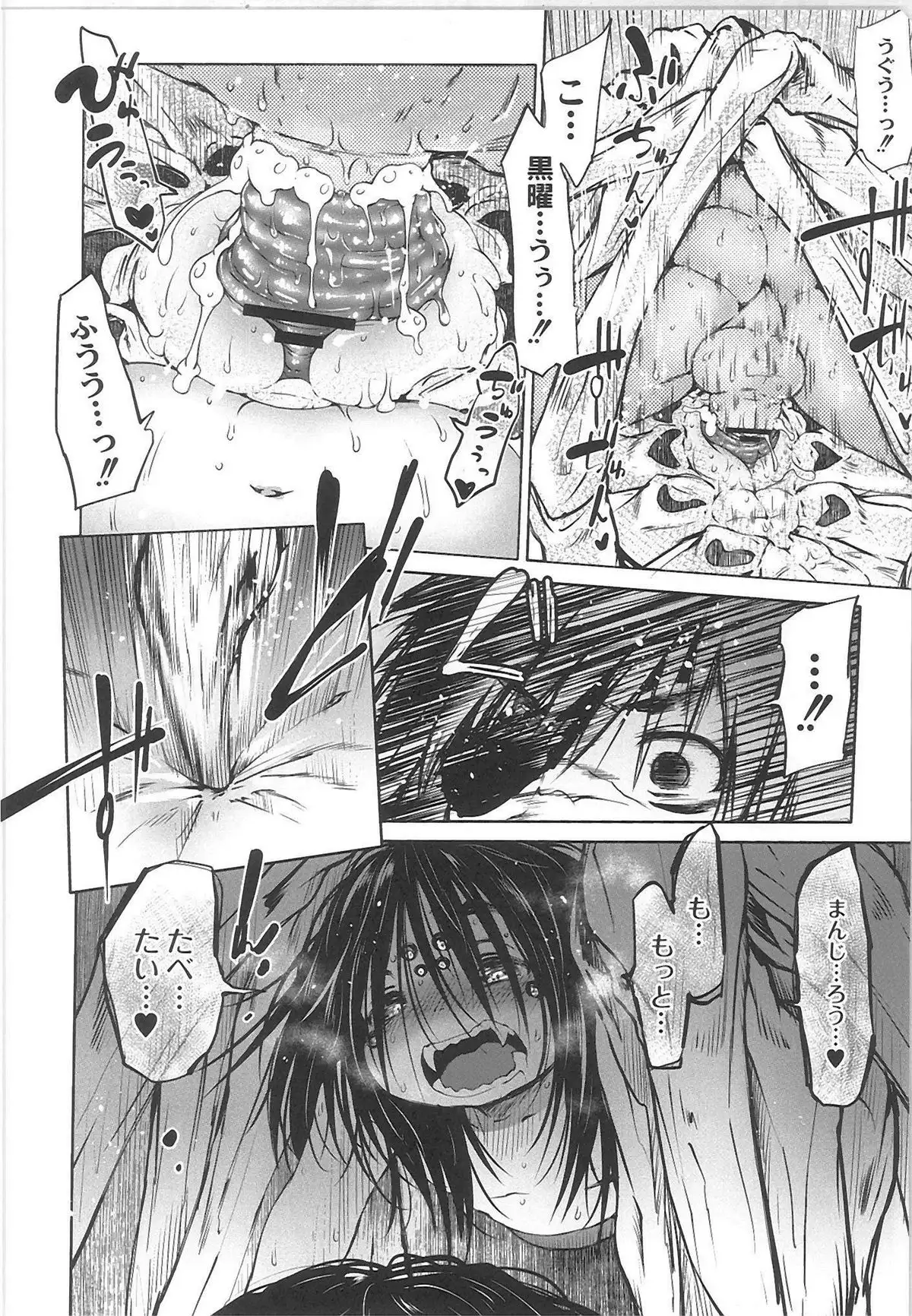 QooPA2015-06 No,11