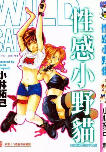 [Kobayashi Takumi] Wild Cats | 性感小野貓 [Chinese] [Incomplete]