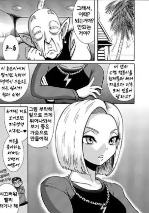 Jinzou Onaho 18-gou | 인조오나홀 18호