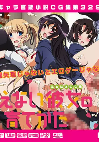 Yuumei Chara Kannou Shousetsu CG Shuu No. 329!! Saenai Heroine no Sodatekata HaaHaa CG Shuu