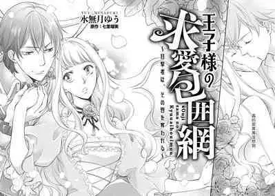 Ouji sama no Kyuuaihouimou | 王子殿下的求愛包圍網~目擊者，被奪走雙唇