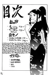 Ginrei Hon VI
