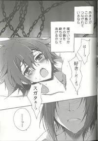 (SUPER20) [CARNELIAN] Suki na Mono o Suki na Dake (Star Driver)