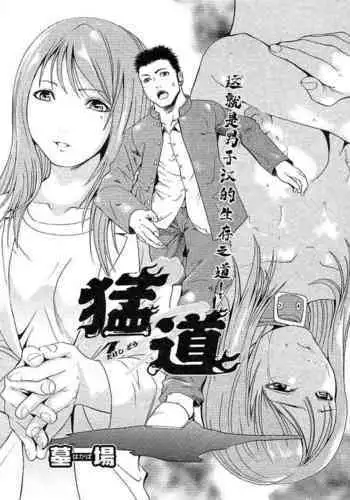 猛道（COMIC パピポ 2005年10月号）