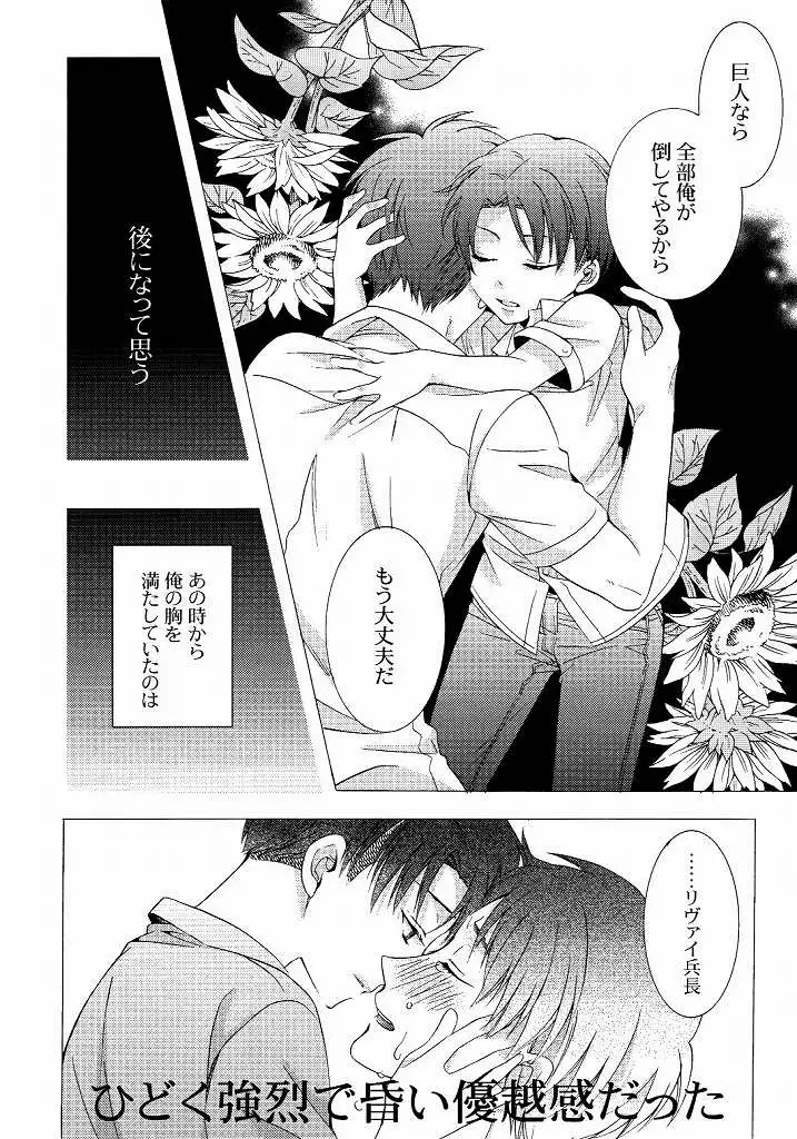 向日葵の咲く冬