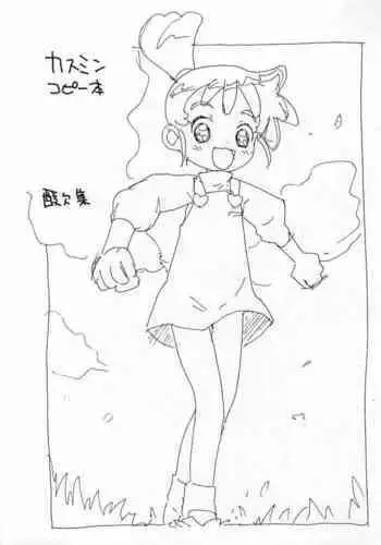 [Sanketsushuu (Sanzui)] Kasumin Copy-bon (Kasumin)