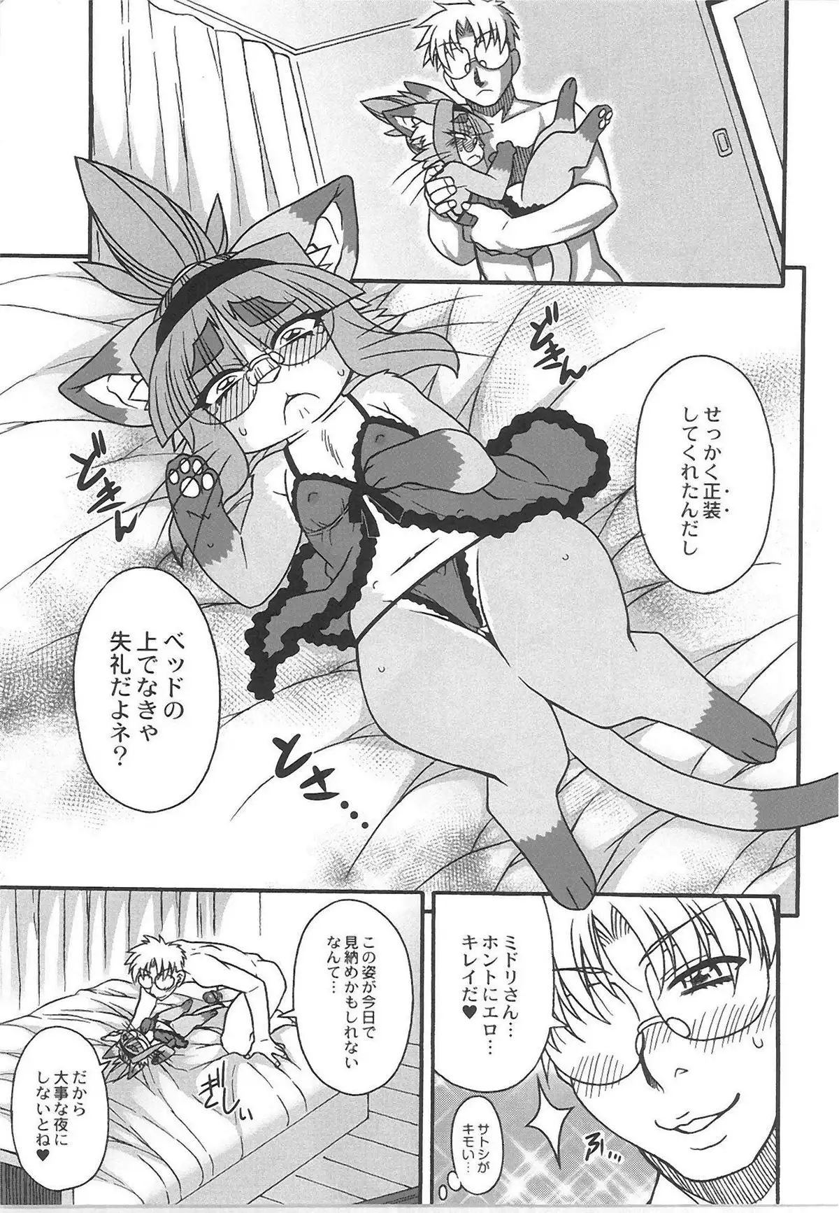QooPA2015-06 No,11