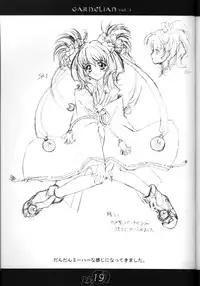 [CARNELIAN] CARNELIAN vol.2 - Re·Leaf Settei Shiryou Tsudo