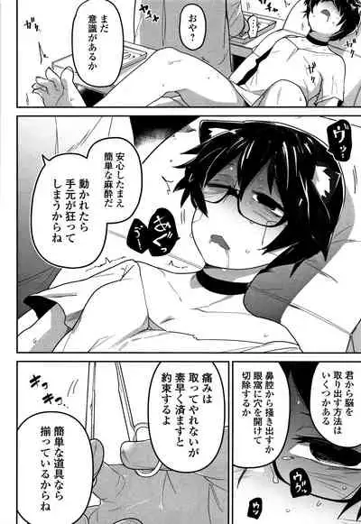 [Tsukusun] Kawaisouna no wa Kawaii!