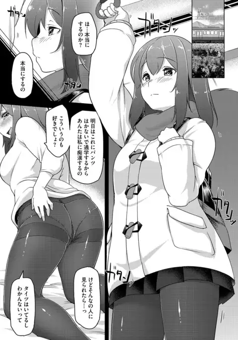 Cyberia Maniacs Chikan Ryoujoku Paradise Vol. 4