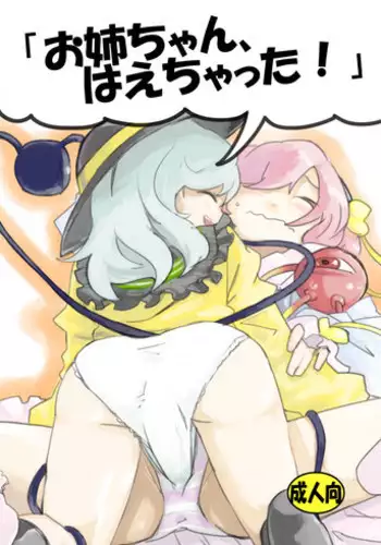 [Saperon Black (Sape)] Onee-chan, Haechatta! (Touhou Project) [Digital]