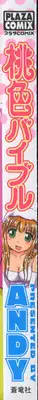 [ANDY] Momoiro Bible
