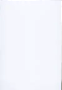 (C93) [Armament Calcium (Take Calcium)] Majo Kyousei Chijo (Touhou Project) [Chinese] [好想玩梗汉化组]