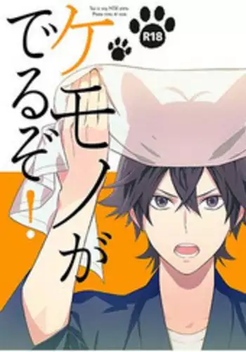 (SPARK9) [Doumo Sumimasen. (Jumping Dogeza)] Kemono ga deru zo! (Barakamon)