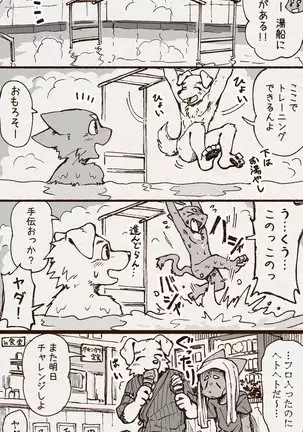 アオカネ銭湯日記