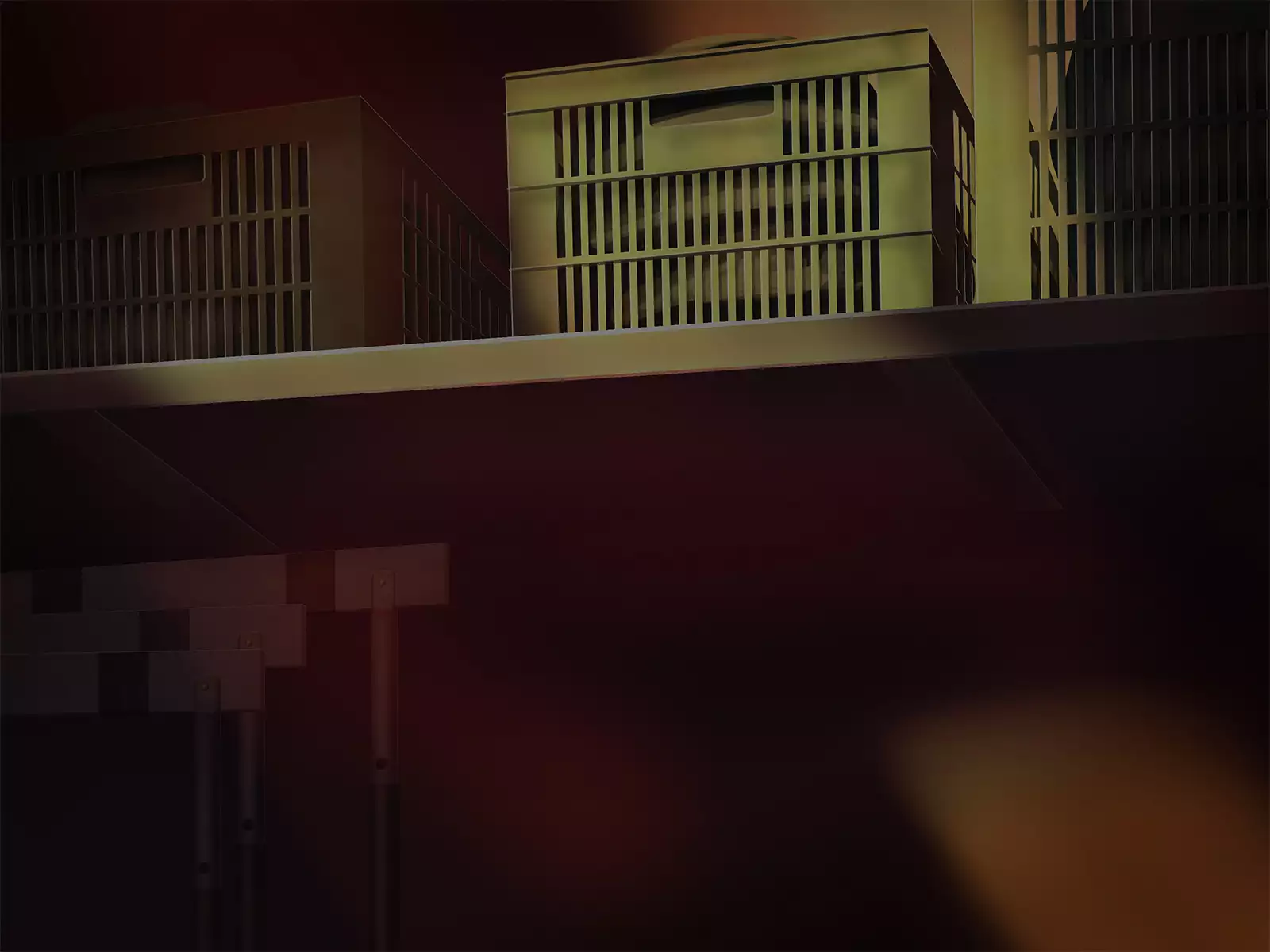 Seikatsu Shidouhou Rikujou Shoujo no Pakopako Shidou