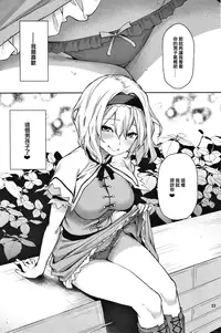 (C91) [Anmitsuyomogitei (Michiking)] Karakai Jouzu no Alice-san! (Touhou Project) [Chinese] [无毒汉化组]